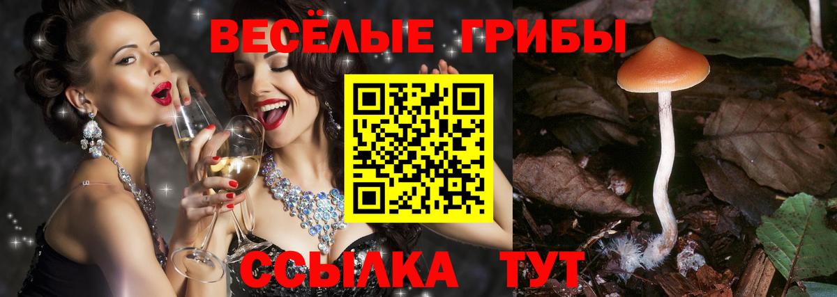Галлюциногенные грибы ЛСД Солнечногорск